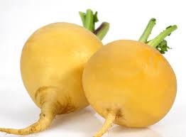 Yellow Turnip Vegetable Seeds for planting