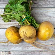 Yellow Turnip Vegetable Seeds for planting