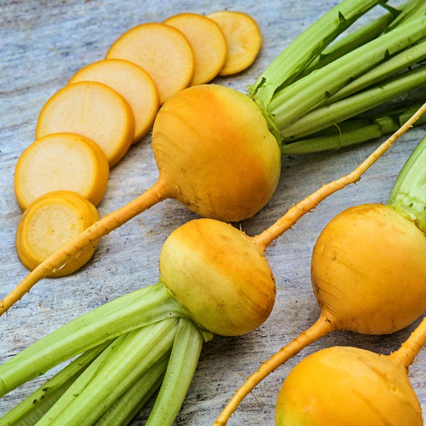 Yellow Turnip Vegetable Seeds for planting