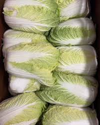 Semi di cicoria verdura - bianco verde