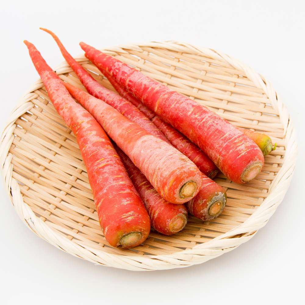 Vegetable Carrot Seeds for Home Gardening