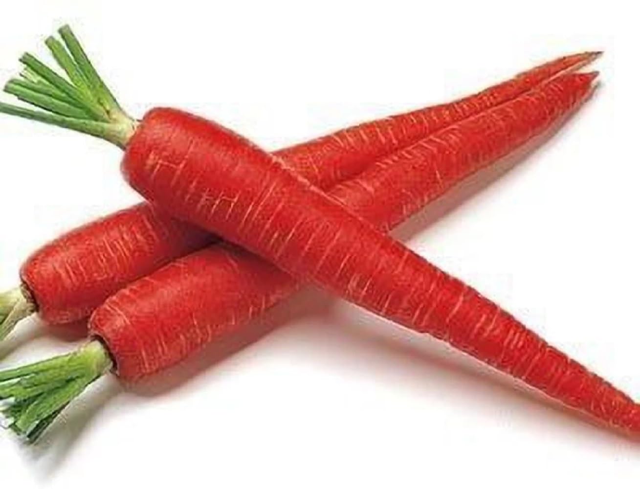 Vegetable Carrot Seeds for Home Gardening