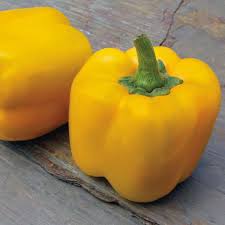 Graines de poivron jaune pour la plantation