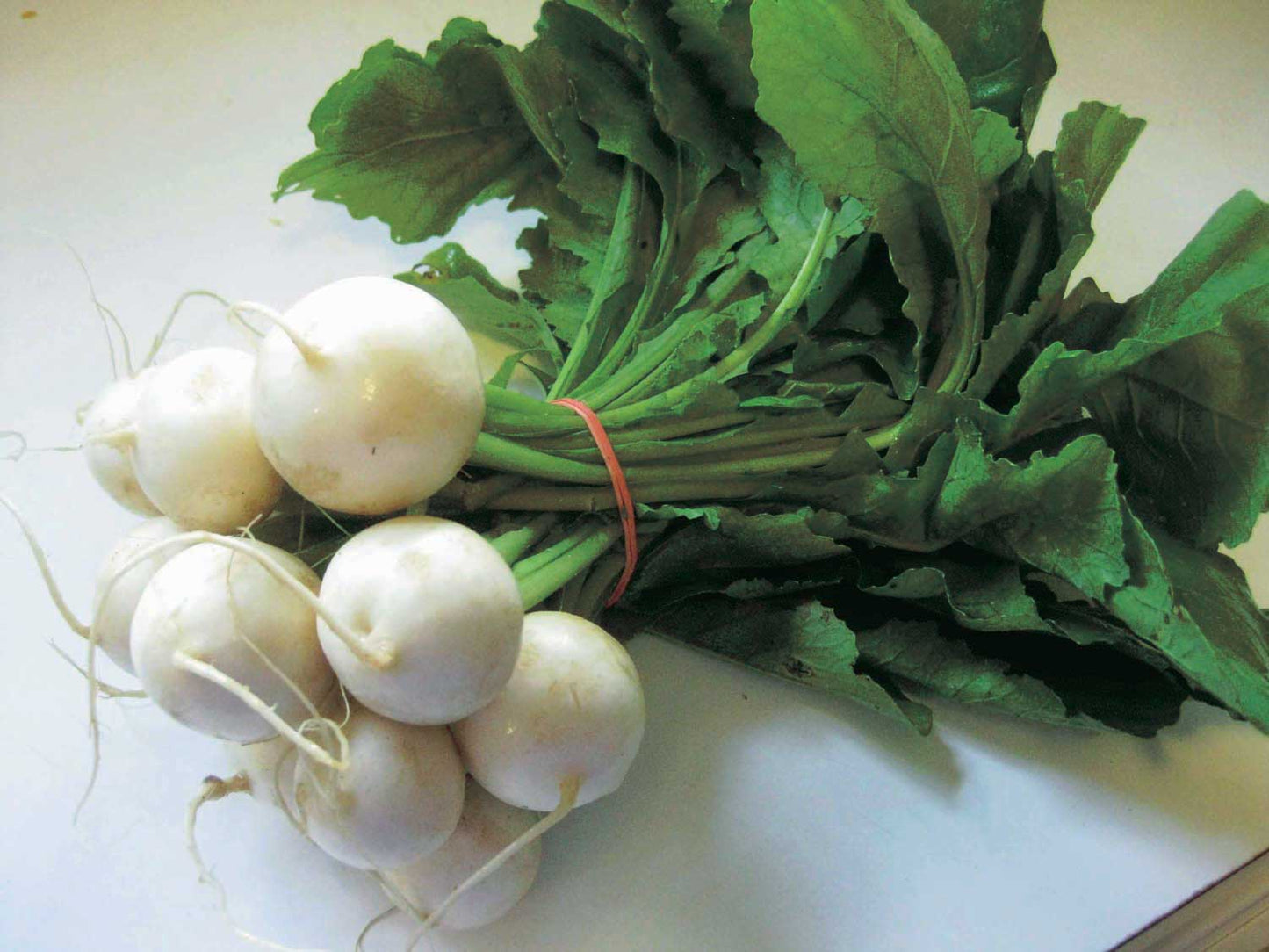 Hakurei Hybrid Japanese Turnip Seeds