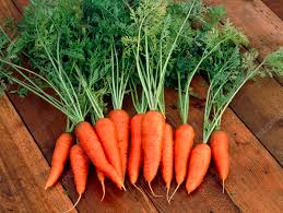 Paris Market Carrots – Garden Planting Seeds