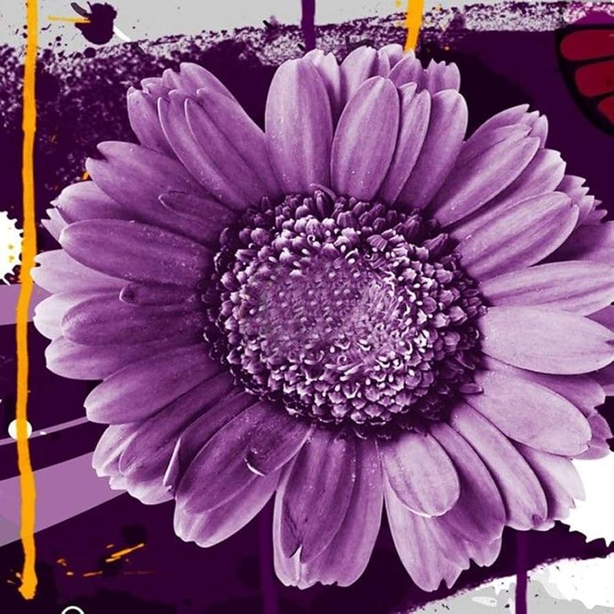 Sunflower Seeds for Planting to Plant purple