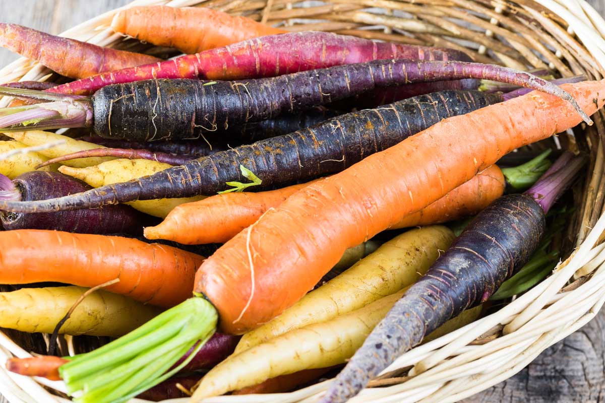 Rainbow Carrot Seeds – Heirloom Garden Variety