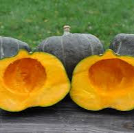 Semi di zucca invernale Burgess Buttercup