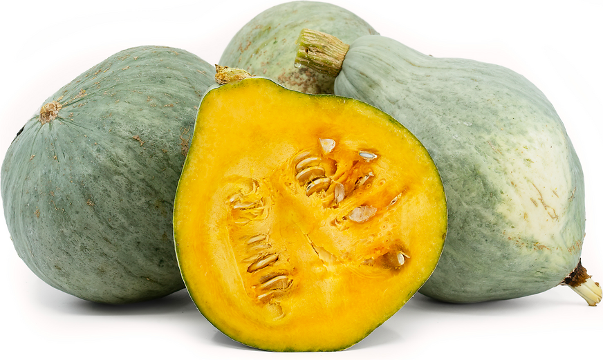 Graines de courge Hubbard bleue
