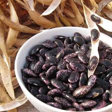 Heirloom Scarlet Runner Beans Seeds