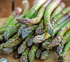 Graines d'asperge Jersey Knight