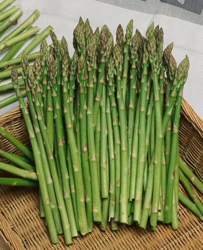Mary Washington Asparagus Seeds
