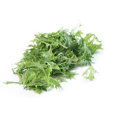 Wilde Rucola Samen