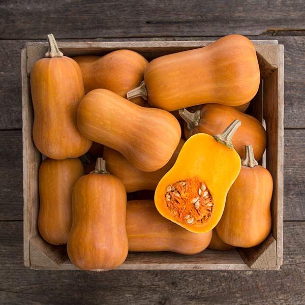 Semi di zucca Honeynut