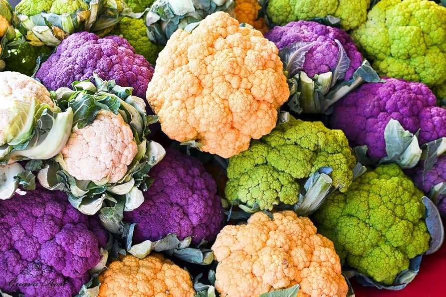 Mélange de graines de choux-fleurs variétés violette, verte et jaune