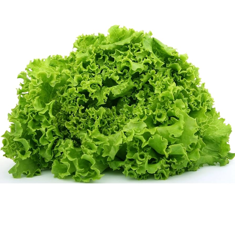 Erbstück-Salat-Samen – Nicht-GVO-Sorten
