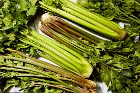 Home Garden Celery Seeds