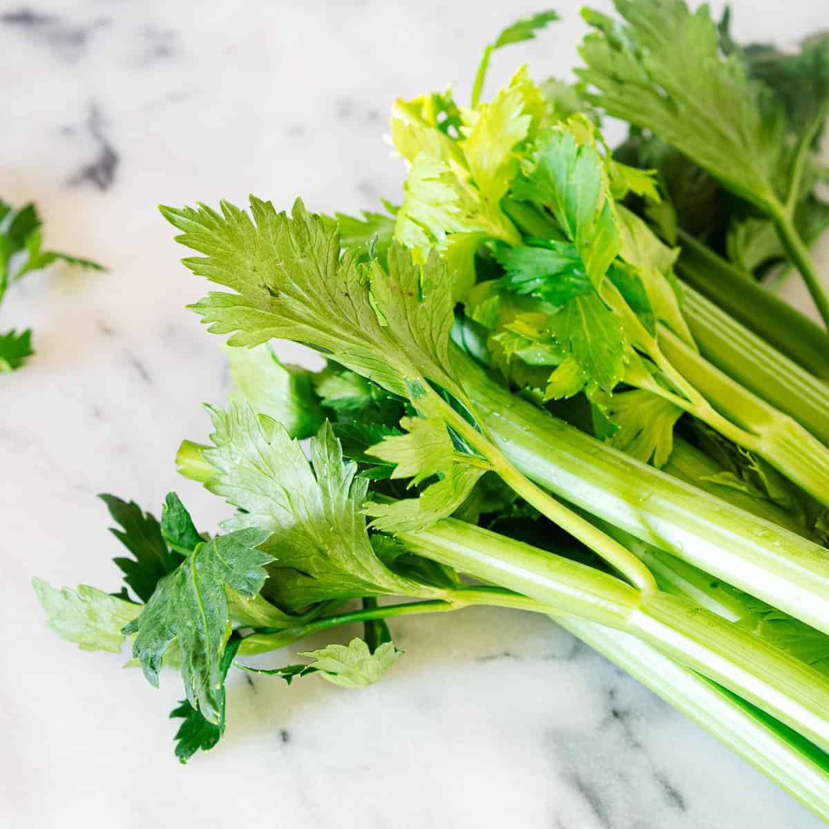 Home Garden Celery Seeds