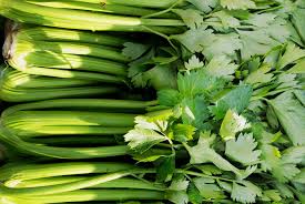 Vegetable Celery Seeds