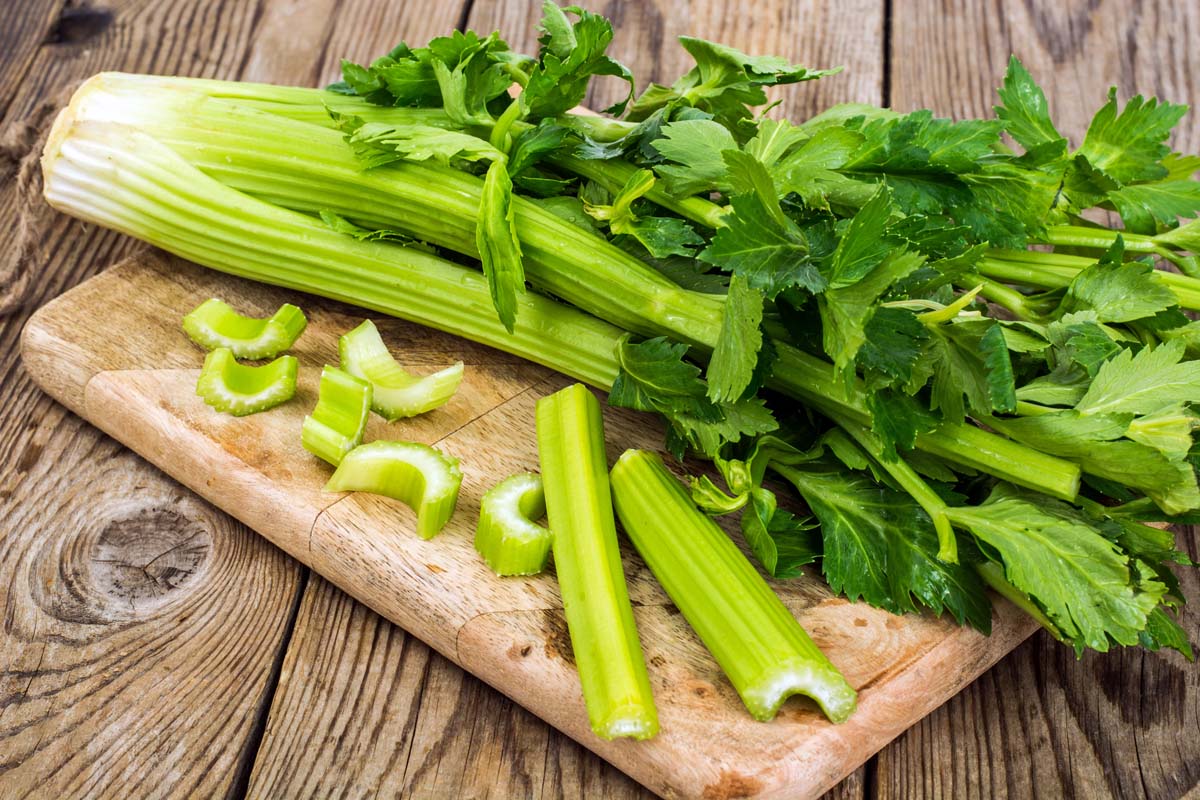 Vegetable Celery Seeds