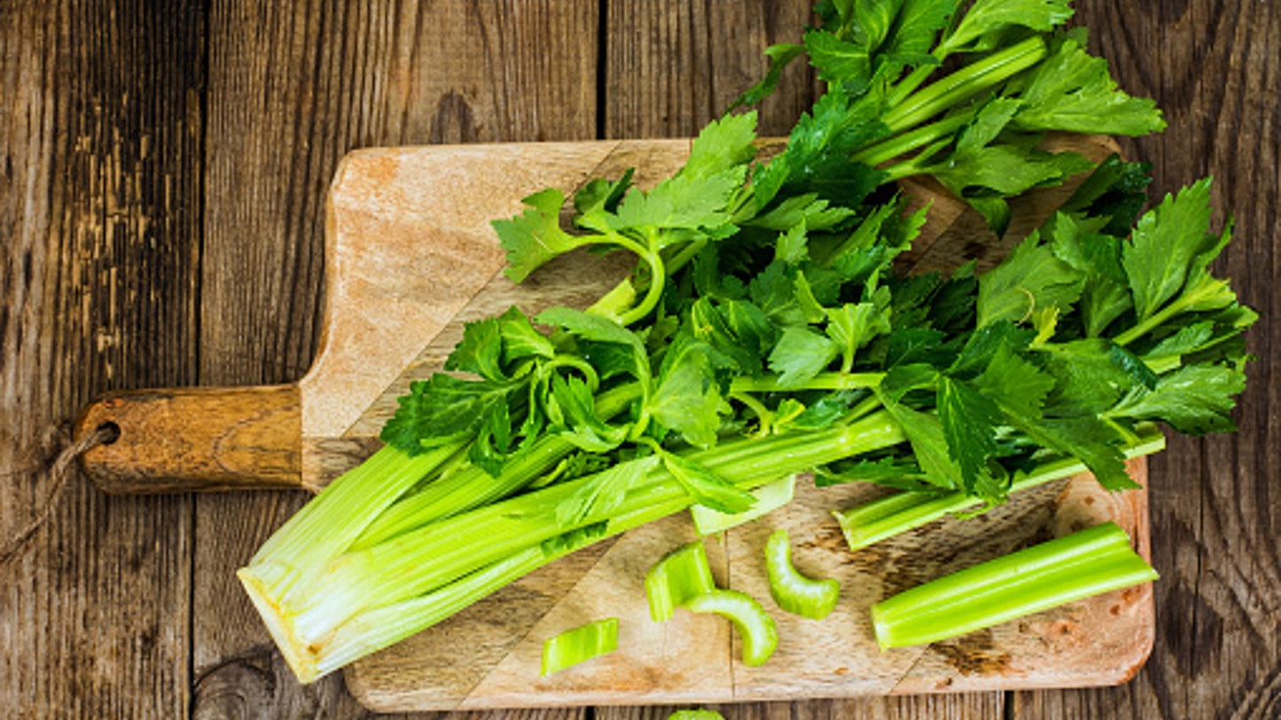 Celery Herb Seeds – Hybrid Variety