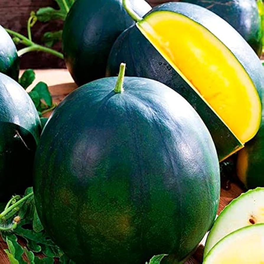 Yellow Yanosik Flower seeds for Planting Shade Tolerant Heirloom & GMO Free Seeds for Home Garden
Sale seeds for home garden planting