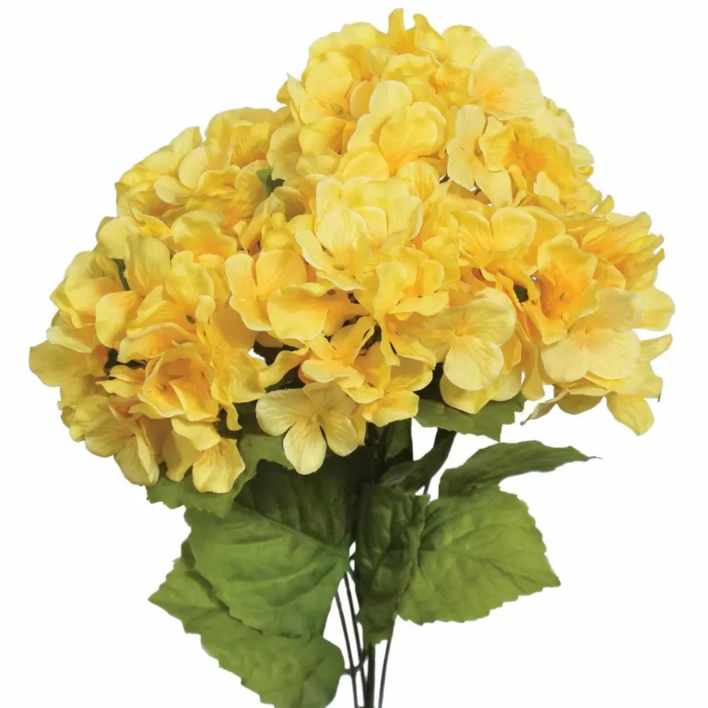 Yellow Hydrangea Flower seeds for Planting Perfect for Borders Heirloom & GMO Free Seeds for Home Garden
Sale seeds for home garden planting