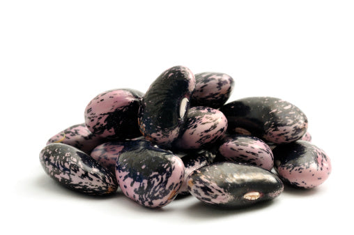 D'Allesandro Scarlet Runner Beans