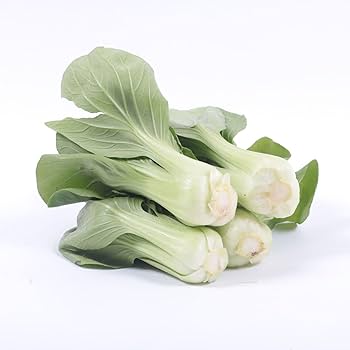 Graines de Bok Choy / Pak Choi VCABO