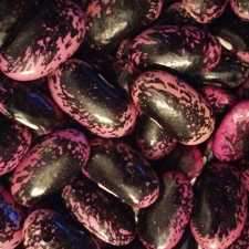 Heirloom Scarlet Runner Beans Seeds