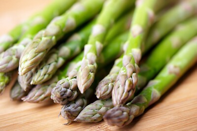 "Bulk Mary Washington Asparagus Seeds