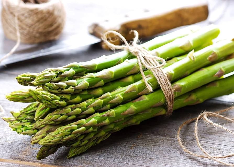 Graines d'asperge Heirloom Mary Washington