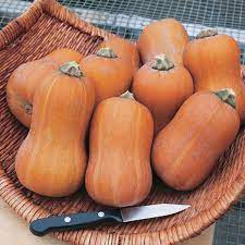 Semi di zucca Honeynut