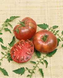 Cherokee Purple Heirloom Tomato Seeds