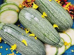 Graines de courgette - variété grise