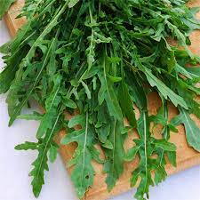 Roquette Arugula Seeds