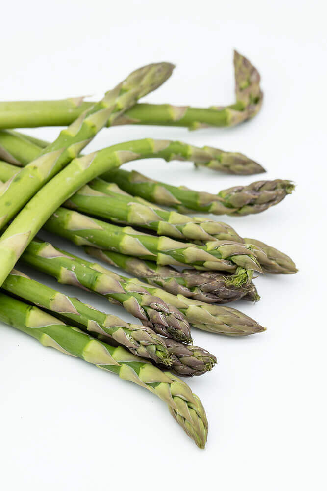 Graines d'asperge Heirloom Mary Washington