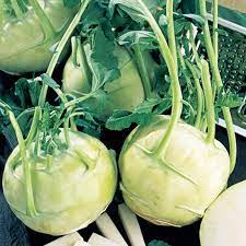 Everwilde Farms White Vienna Kohlrabi Seeds