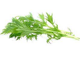 Wilde Rucola Samen