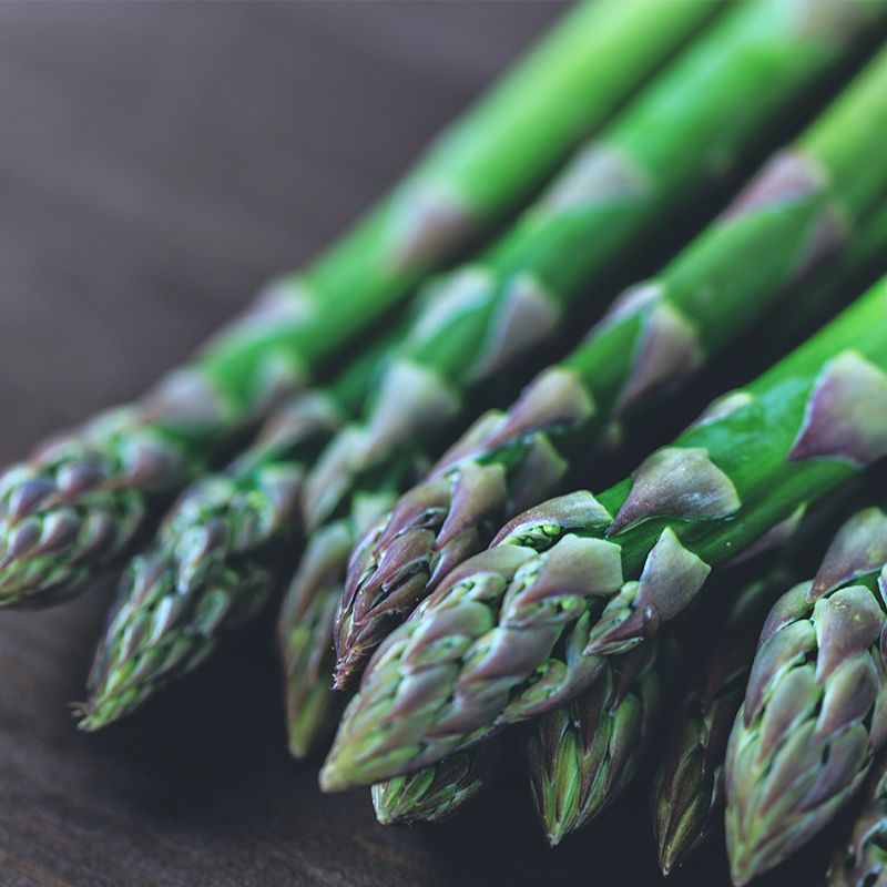Graines d'asperge Jersey Knight