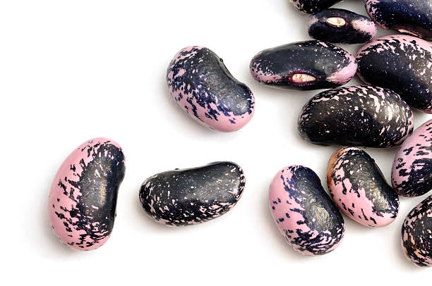 D'Allesandro Scarlet Runner Beans