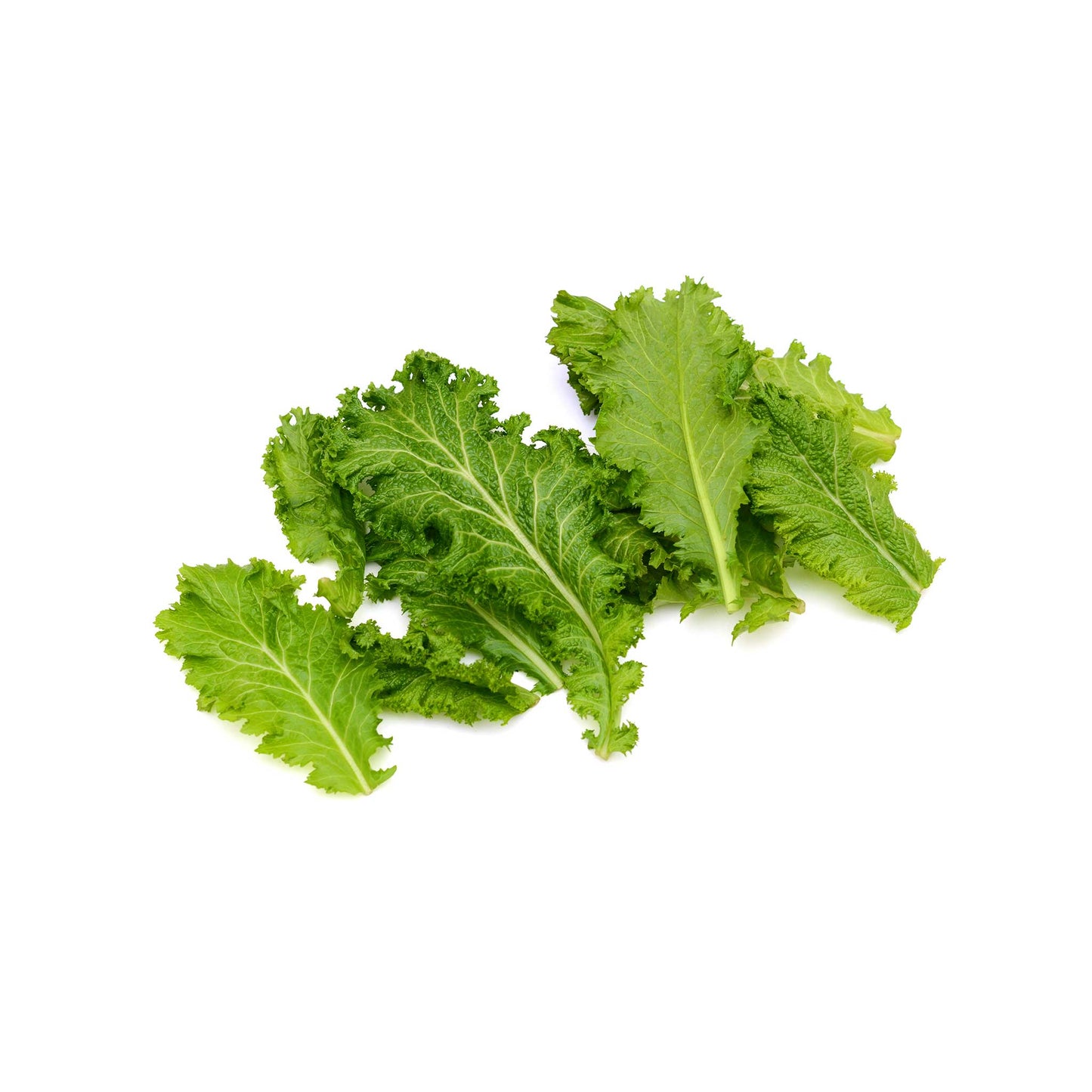 Florida Broadleaf Mustard Seeds