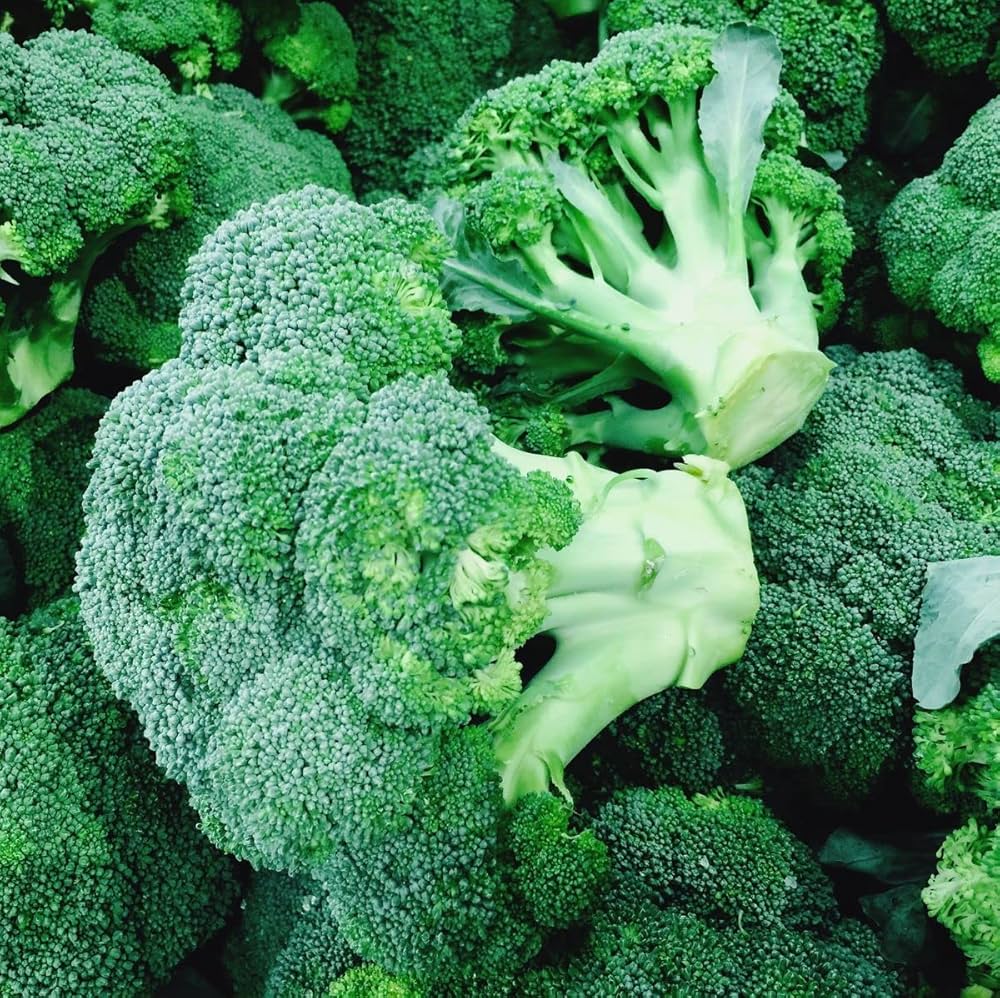 Broccoli Seeds – Organic, Suitable for Indoor & Outdoor