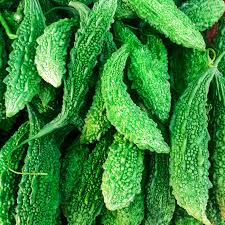 Graines de melon amer pour plantation (concombre amer)