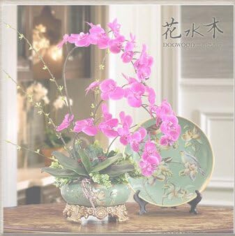Pink Hydroponic Orchid Flower seeds for Planting - Seasonal Bloomer, Heirloom & GMO Free Seeds for Home Garden
Sale for planting in home garden.