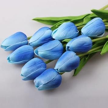 Tulip Flower Seeds Sky Blue Flower seeds for Planting - Cut Flower Favorite, Heirloom & GMO Free Seeds for Home Garden
Sale for planting in home garden.