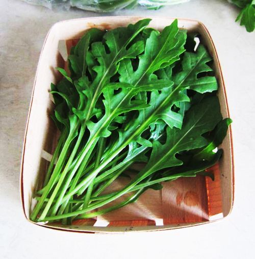 Roquette Arugula Seeds