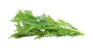 Wilde Rucola Samen
