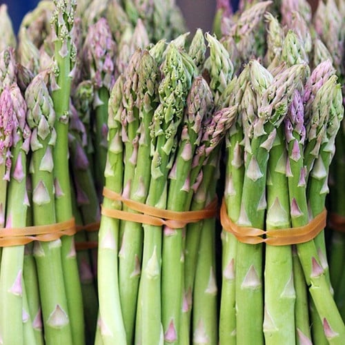 Mary Washington Asparagus Seeds