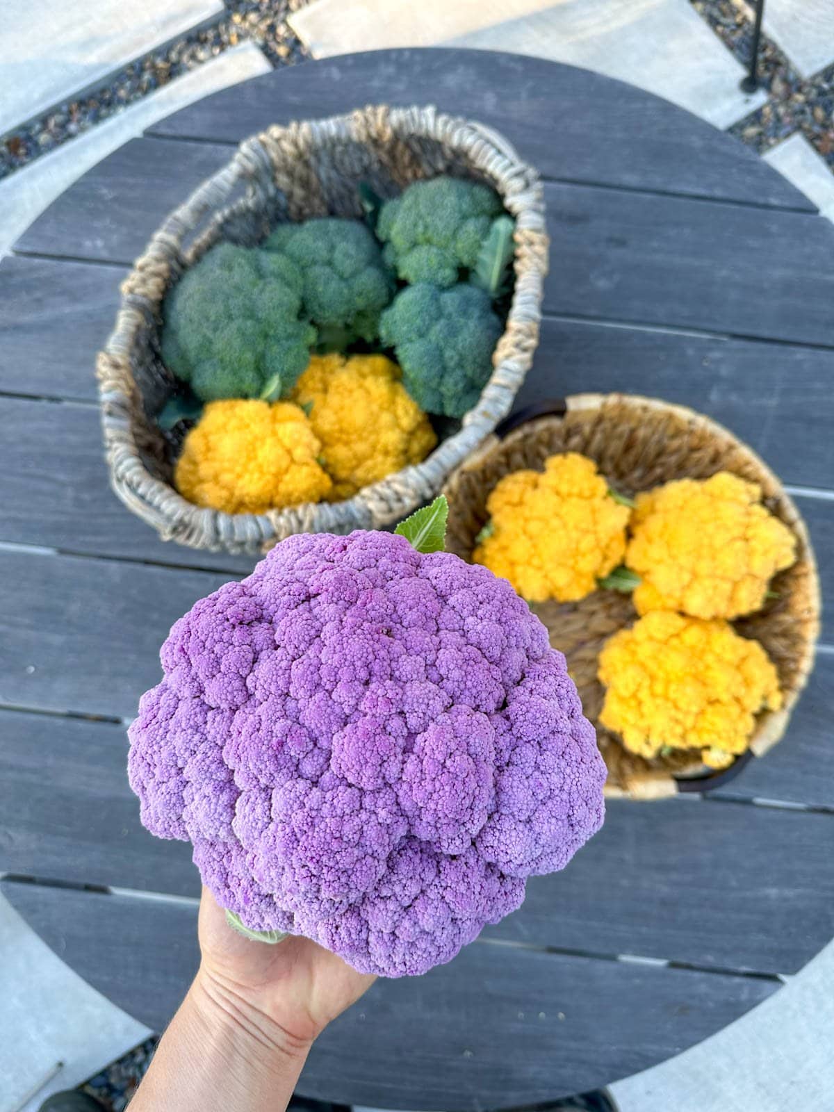 Mélange de graines de choux-fleurs variétés violette, verte et jaune